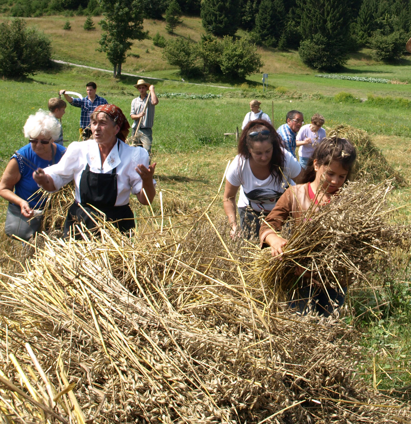 3. žetvena svečanost