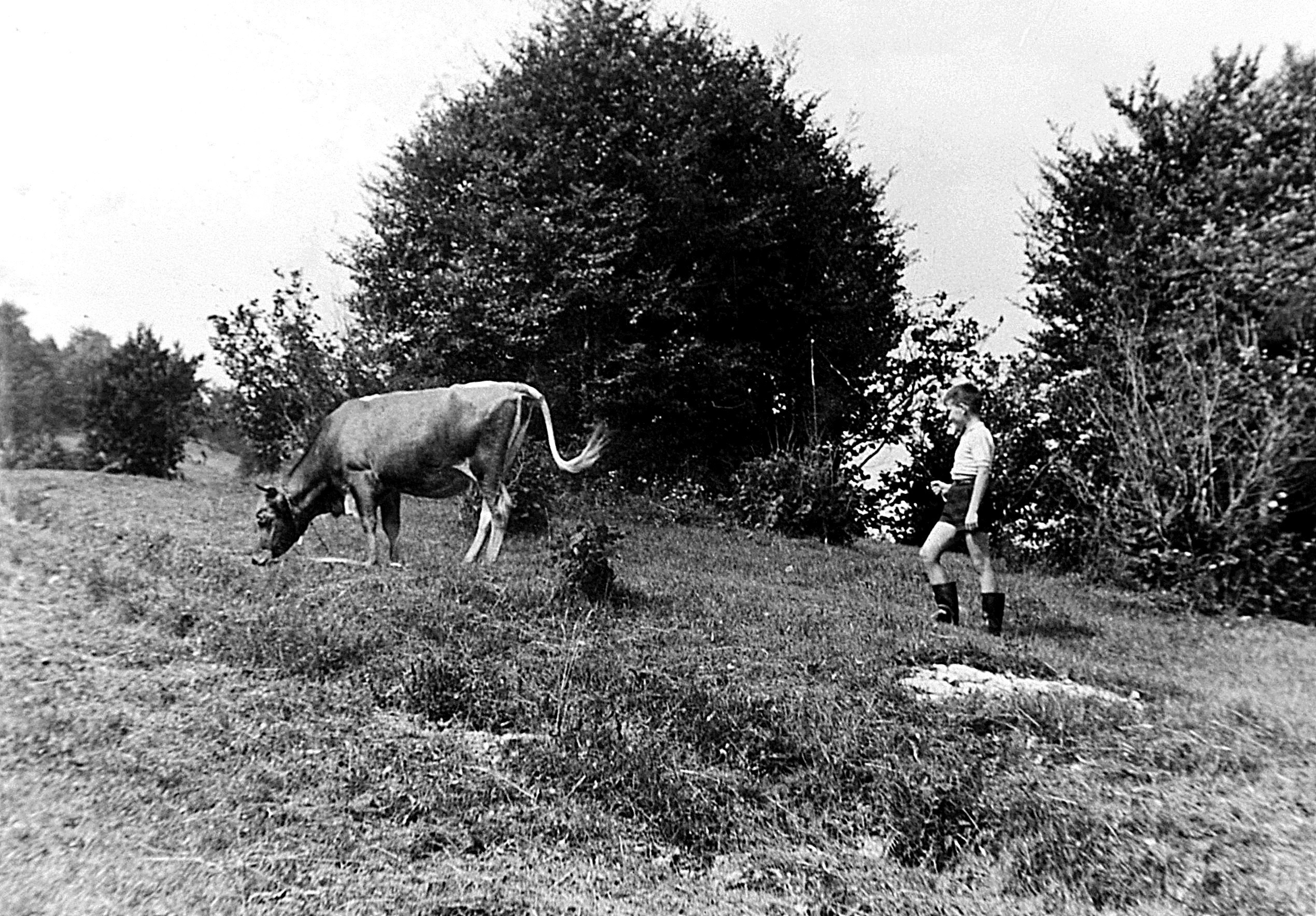  „Hrana s dušom“ - izložba fotografija