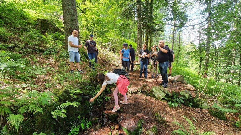 Plodovi gorja - Dan borovnica